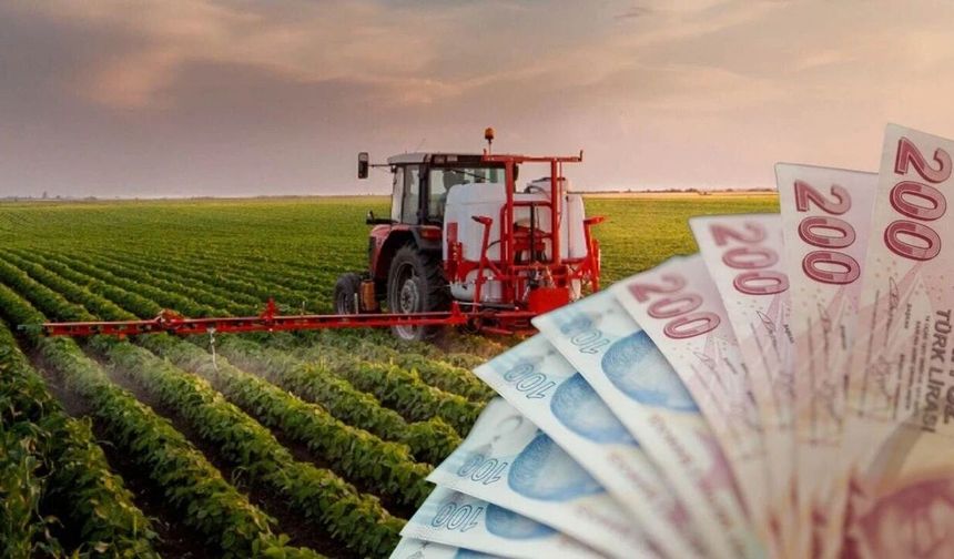 237 Milyon TL'lik Tarımsal Destekleme Ödemeleri Hesaplara Aktarılıyor!