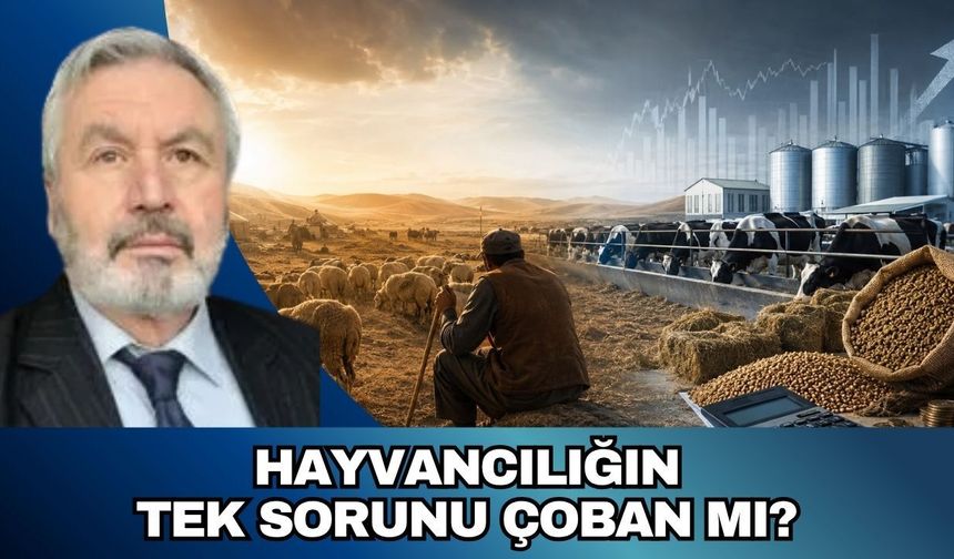 HAYVANCILIĞIN TEK SORUNU ÇOBAN MI?