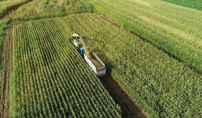 Çiftçiye Destek Yasası Fransa’yı İkiye Böldü