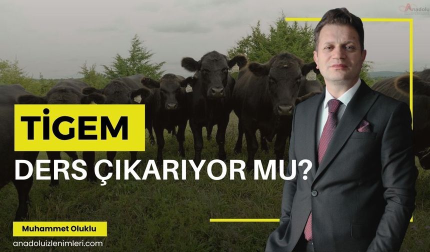 TİGEM Ders Çıkarıyor mu?