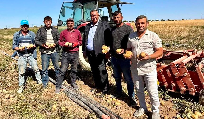 İcra Dosyalarında Artık Süt İnekleri de Var!