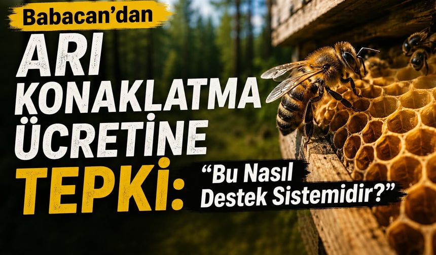 Babacan’dan Arı Konaklatma Ücretine Tepki: “Bu Nasıl Destek Sistemidir?