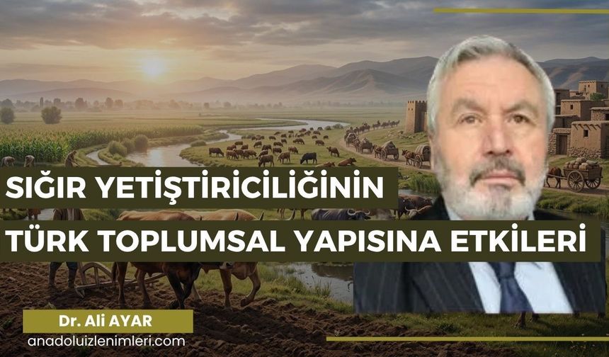 SIĞIR YETİŞTİRİCİLİĞİNİN TÜRK TOPLUMSAL YAPISINA ETKİLERİ
