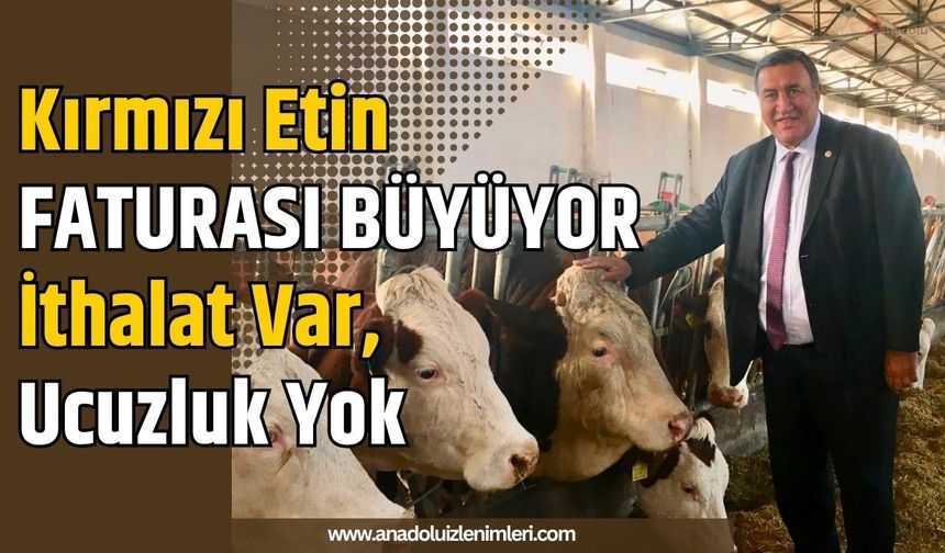 Kırmızı Etin Faturası Büyüyor: İthalat Var, Ucuzluk Yok
