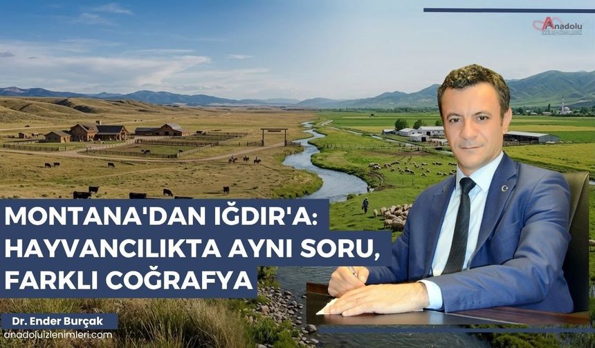 Montana'dan Iğdır'a: Hayvancılıkta Aynı Soru, Farklı Coğrafya