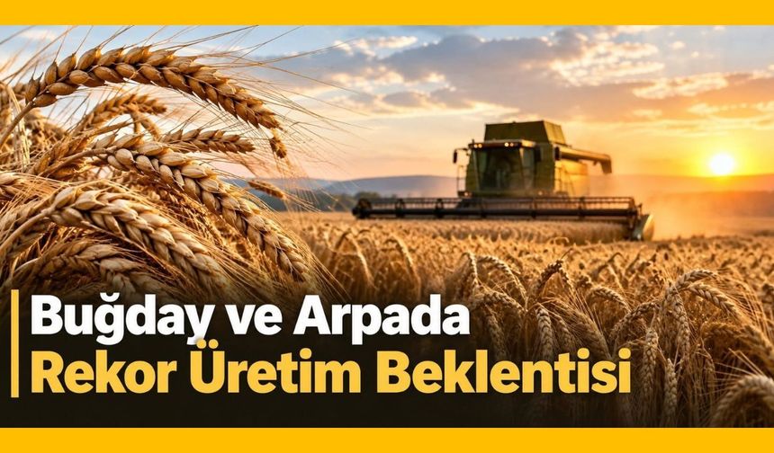 Buğday ve Arpada Rekor Üretim Beklentisi
