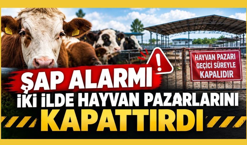 Şap Alarmı İki İlde Hayvan Pazarlarını Kapattırdı