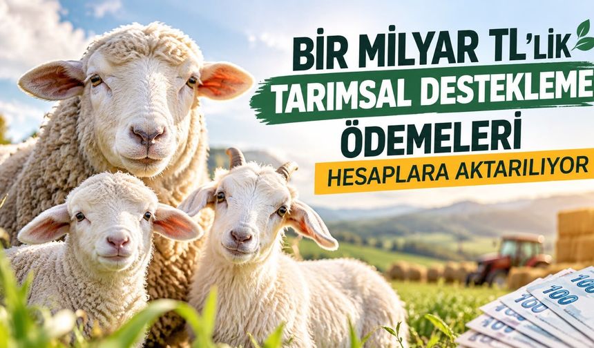 1 Milyar TL'lik Tarımsal Destekleme Ödemeleri Hesaplara Aktarılıyor!