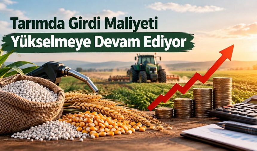 Tarımda Girdi Maliyeti Yükselmeye Devam Ediyor
