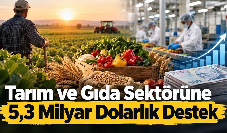 Tarım ve Gıda Sektörüne 5,3 Milyar Dolarlık Destek