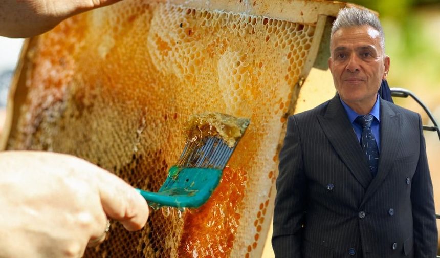Kahramanmaraş’ın Bal Potansiyeli Büyüyor, Tanıtım İhtiyacı Sürüyor
