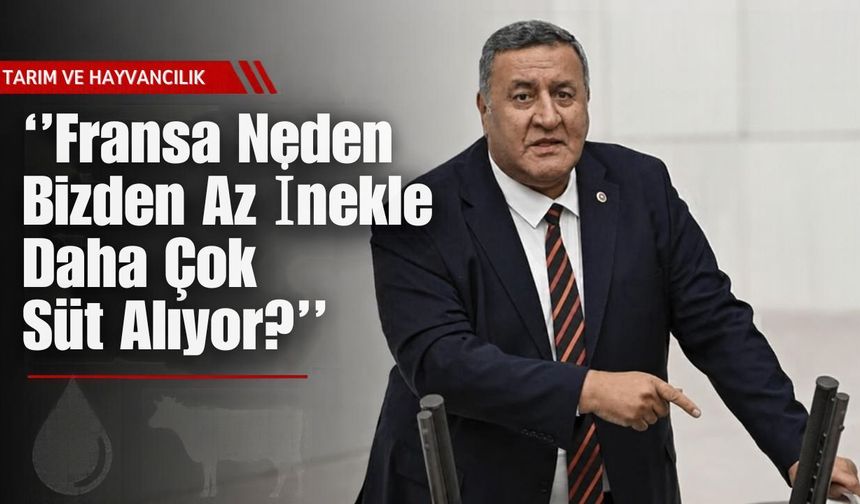 ''Fransa Neden Bizden Az İnekle Daha Çok Süt Alıyor?''
