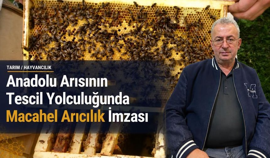 Anadolu Arısının Tescil Yolculuğunda Macahel Arıcılık İmzası