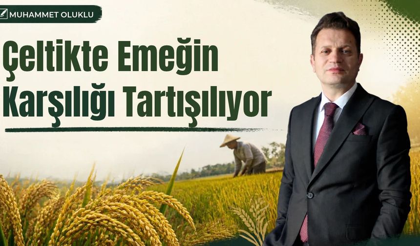 Çeltikte Emeğin Karşılığı Tartışılıyor