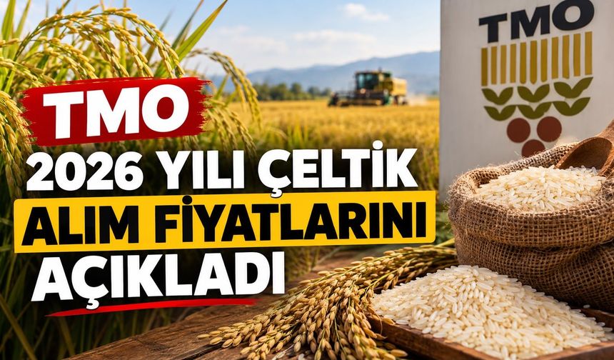 TMO 2026 Yılı Çeltik Alım Fiyatlarını Açıkladı!