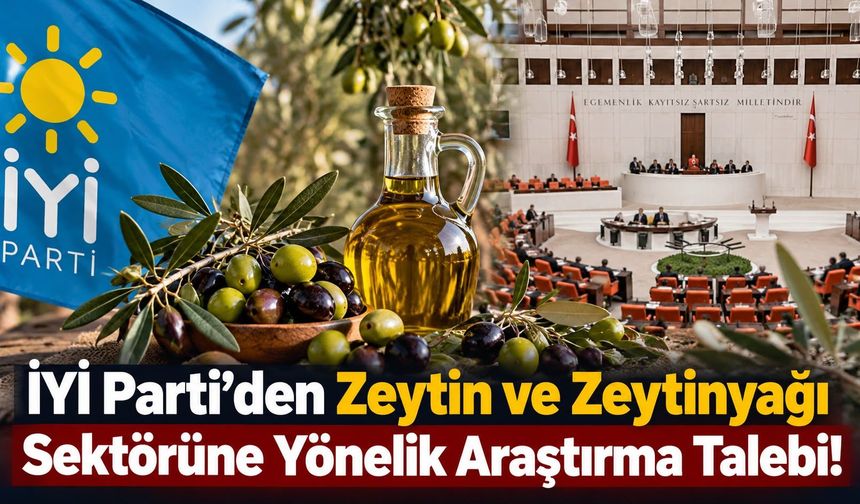 İYİ Parti’den Zeytin ve Zeytinyağı Sektörüne Yönelik Araştırma Talebi!