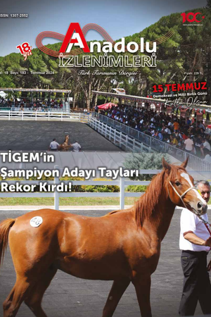 TİGEM'in Şampiyon Adayı Tayları Rekor Kırdı!