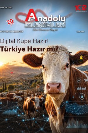 Dijital Küpe Hazır! Türkiye Hazır mı?
